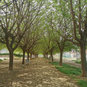 Solar urbano en venta junto al Paseo del Canal.