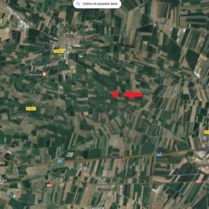 TERRENY RÚSTIC en VENDA a BELLVIS.