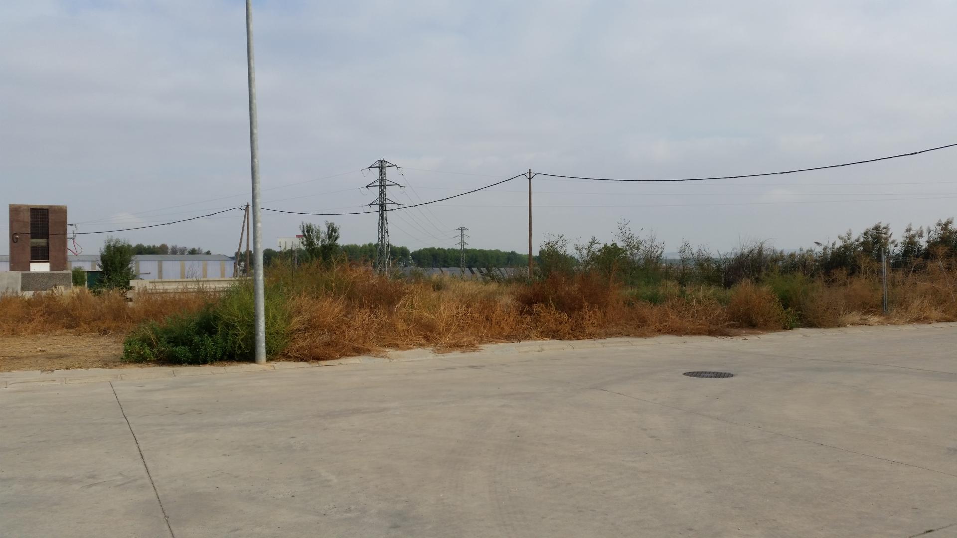 287862_cd5f6fa5a816edf5d358698a1d6ef261