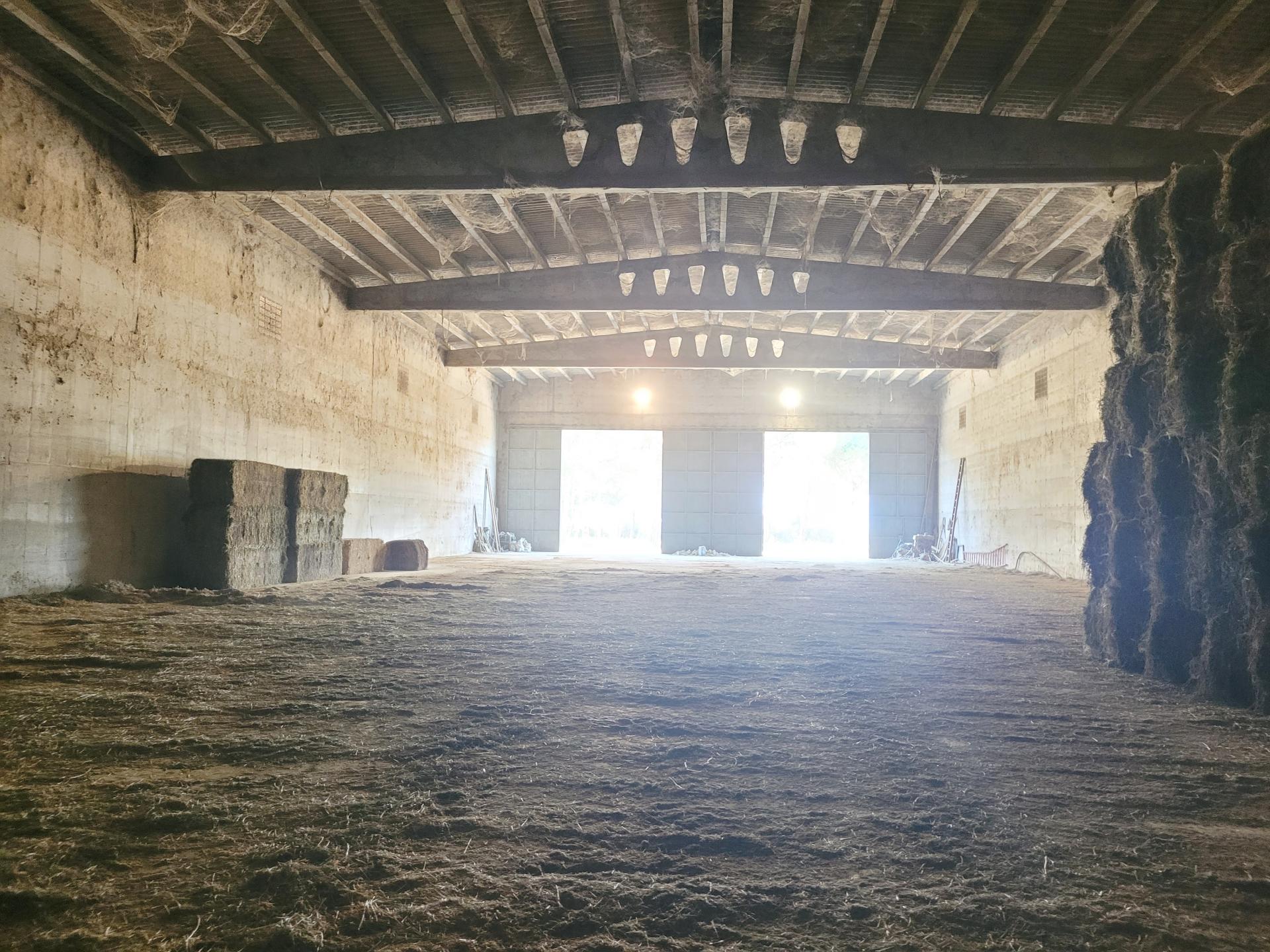 371452_7bb96501884215e29f176dd6c8ed61b7