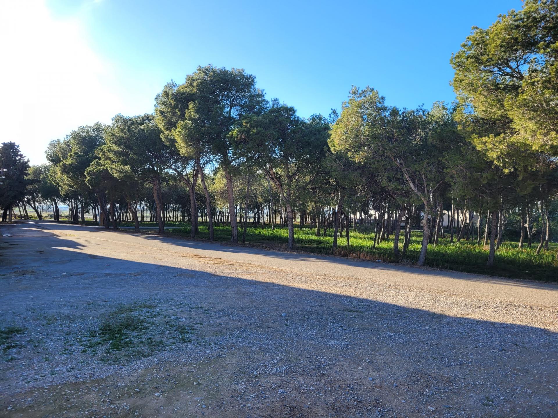 371452_f57816f204d61a8f817e2adb42d05a0b